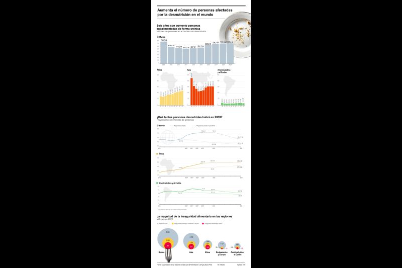 Aumenta el número de personas afectadas por la desnutrición en el mundo 01 290724