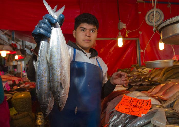 Venta de mariscos aumenta 80 por ciento en restaurantes de Jalisco por  Cuaresma 