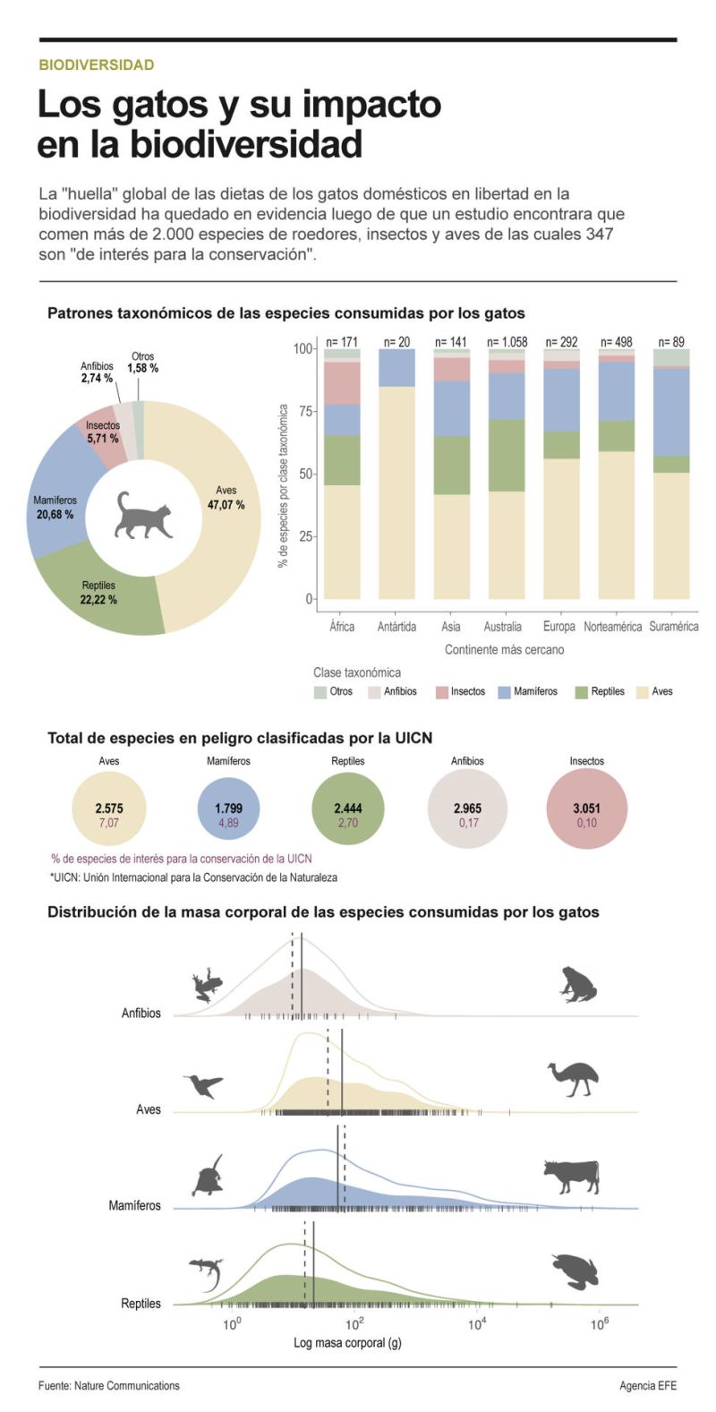 Los gatos y su impacto en la biodiversidad 01 231223