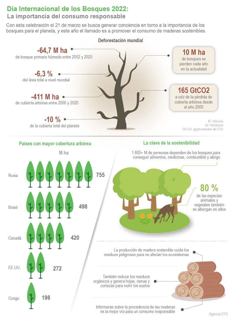 Día Internacional de los Bosques: La importancia del consumo responsable 01 200322