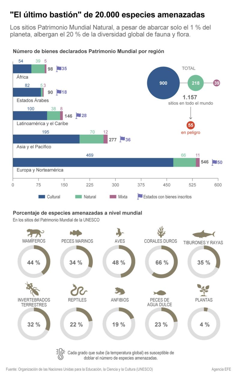 Los sitios Patrimonio Mundial Natural, a pesar de abarcar solo el 1 % del planeta, albergan el 20 % de la diversidad global de fauna y flora. 01 010923