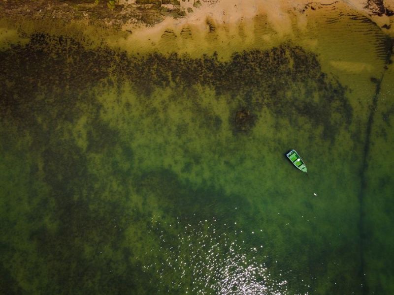 Fotografía de la región de Recife de Fora llena de corales cerca de la ciudad de Arraial D'Ajuda, costa sur de Bahía (Brasil). EFE/ Andre Coelho