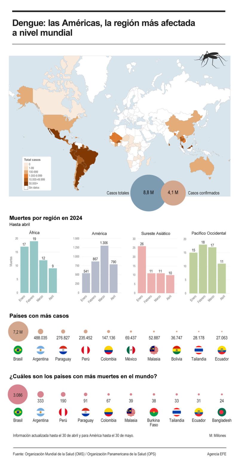 Dengue: las Américas, la región más afectada a nivel mundial 01 060424
