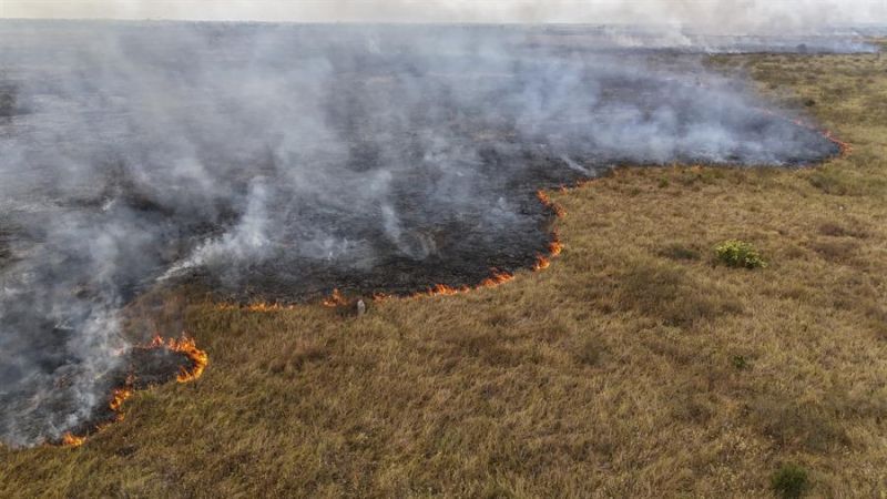 Fotografía de un incendio forestal en el Pantanal brasileño, en Corumbá (Brasil). EFE/ Sebastiao Moreira/ARCHIVO