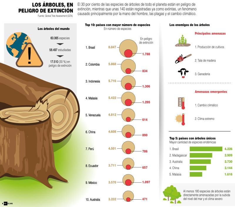 Los árboles, en peligro de extinción <> 04 09 21