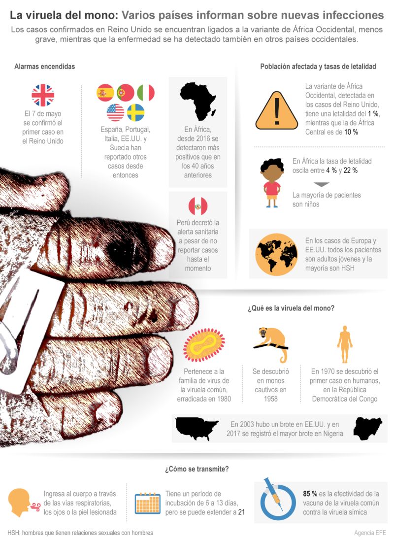 La viruela del mono: Varios países informan sobre nuevas infecciones 01 200522