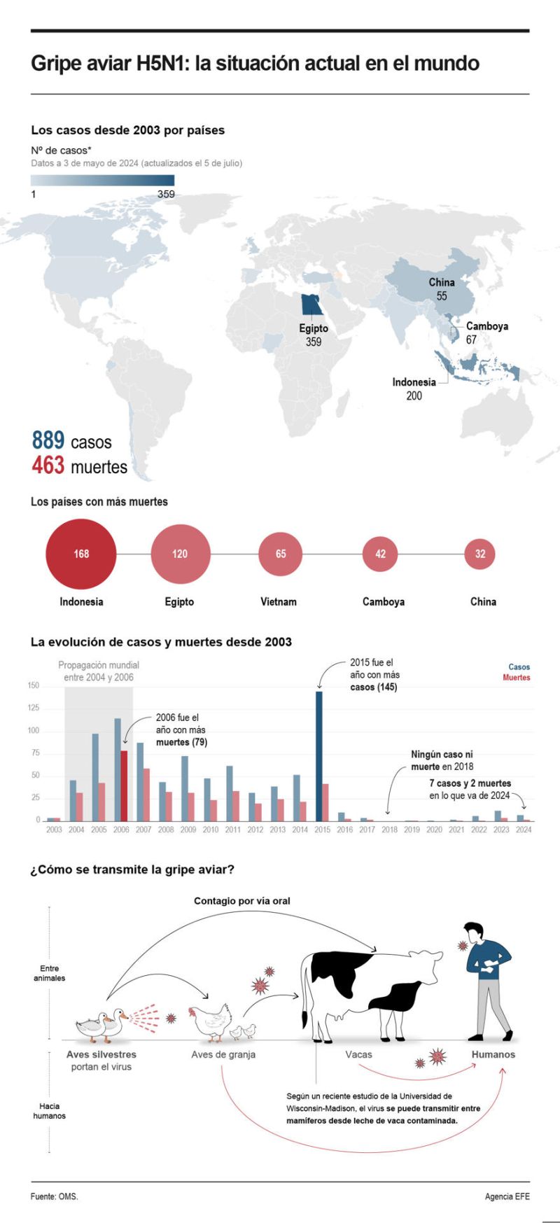 Gripe aviar H5N1: la situación actual en el mundo 01 100724