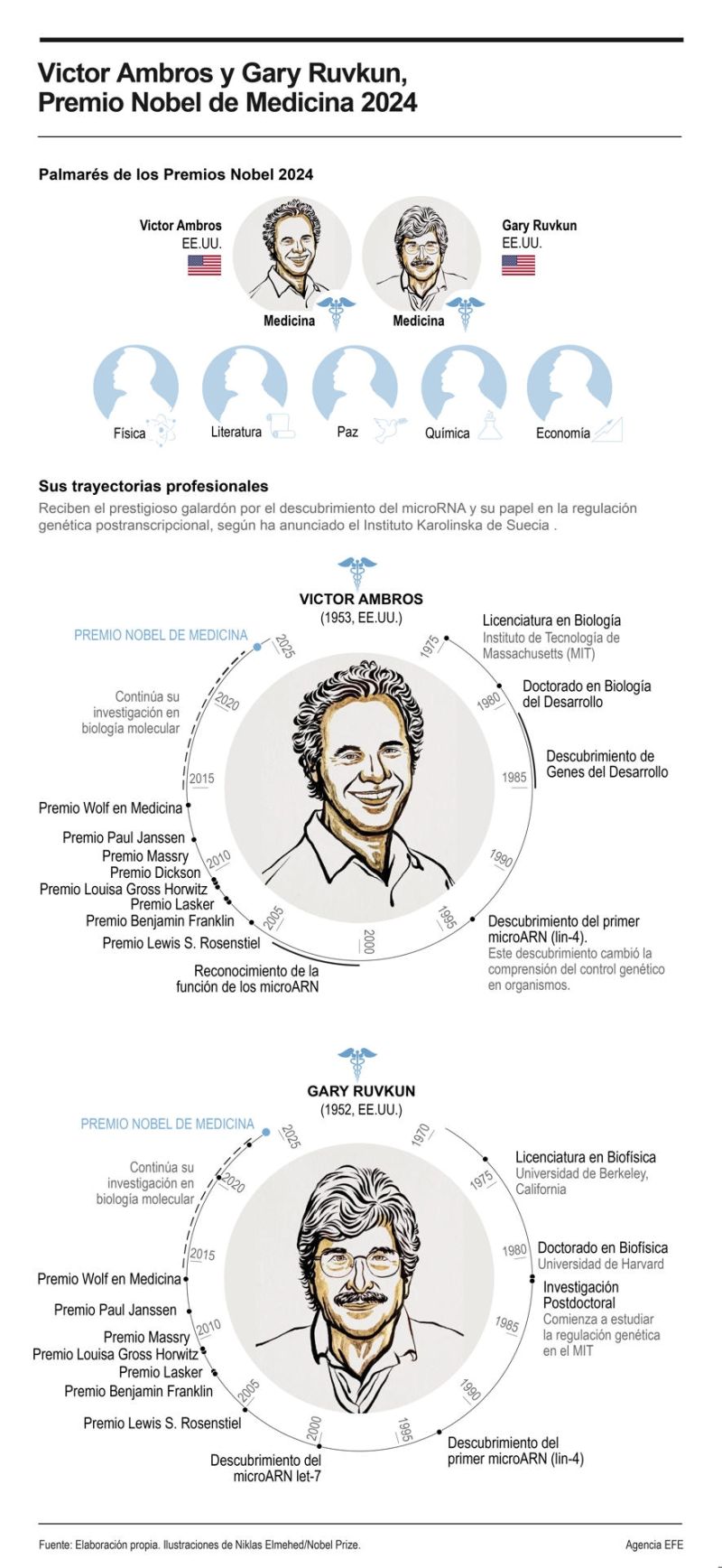 Nobel de Medicina para descubridores del micro-ARN, mecanismo vital para controlar genes 01071024